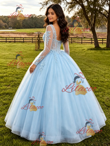 Light Blue Tulle Long Sleeve Appliques Quinceanera Dress