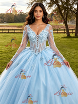 Light Blue Tulle Long Sleeve Appliques Quinceanera Dress