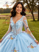 Light Blue Tulle Long Sleeve Appliques Quinceanera Dress