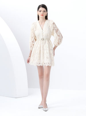 Palace V-neck Slim Mini Dress