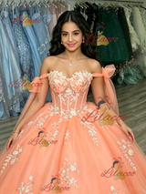 Orange Tulle Off the Shoulder Appliques Quinceanera Dress