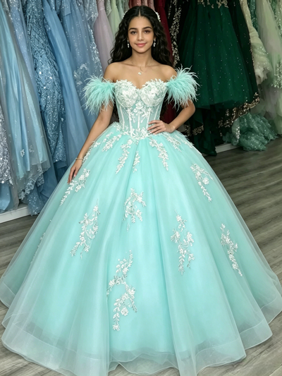 Blue Tulle Off the Shoulder Appliques Quinceanera Dress