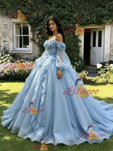 Blue Tulle Long Sleeve Appliques Quinceanera Dress
