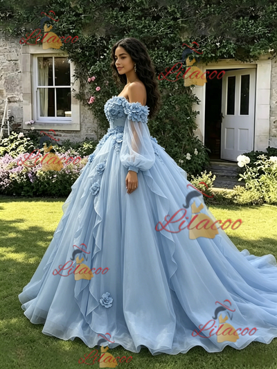 Blue Tulle Long Sleeve Appliques Quinceanera Dress