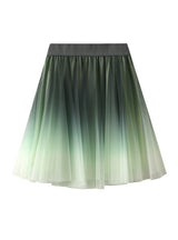 Gradient Color Slim Gradient Skirt