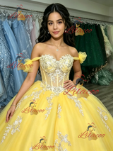 Yellow Tulle Off the Shoulder Appliques Quinceanera Dress
