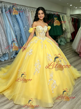 Yellow Tulle Off the Shoulder Appliques Quinceanera Dress
