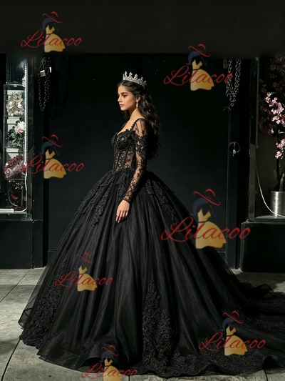 Black Tulle Long Sleeve Appliques Quinceanera Dress
