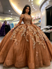 Brown Tulle Long Sleeve Appliques Quinceanera Dress