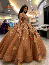 Brown Tulle Long Sleeve Appliques Quinceanera Dress