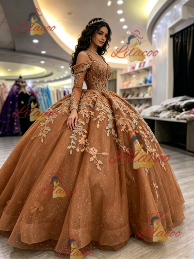 Brown Tulle Long Sleeve Appliques Quinceanera Dress