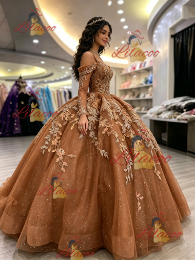 Brown Tulle Long Sleeve Appliques Quinceanera Dress