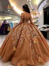 Brown Tulle Long Sleeve Appliques Quinceanera Dress