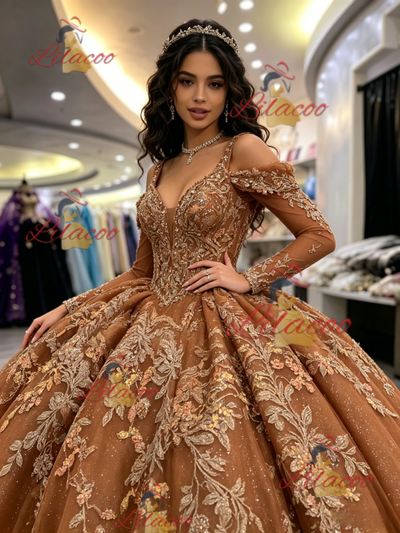 Brown Tulle Long Sleeve Appliques Quinceanera Dress