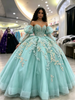 Long Sleeve Tulle Appliques Quinceanera Dress