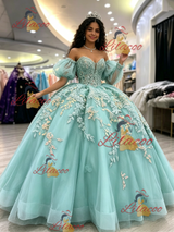 Long Sleeve Tulle Appliques Quinceanera Dress