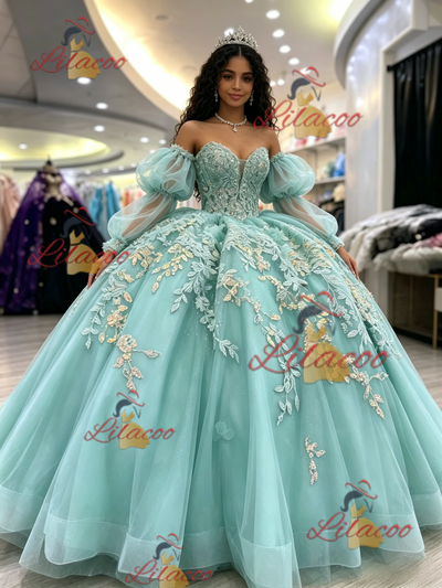 Long Sleeve Tulle Appliques Quinceanera Dress