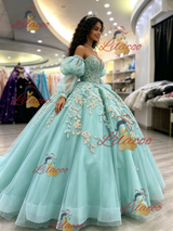Long Sleeve Tulle Appliques Quinceanera Dress