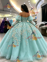 Long Sleeve Tulle Appliques Quinceanera Dress