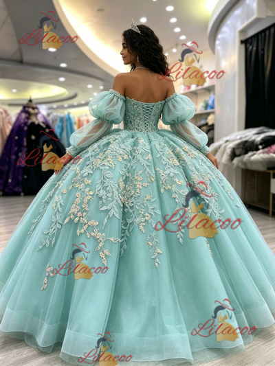 Long Sleeve Tulle Appliques Quinceanera Dress