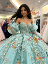 Long Sleeve Tulle Appliques Quinceanera Dress
