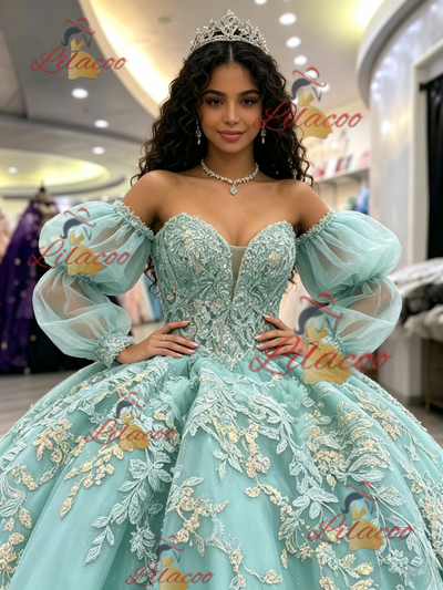 Long Sleeve Tulle Appliques Quinceanera Dress