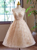 Champagne Lace Straps Homecoming Dress
