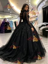 Black Long Sleeve Appliques Quinceanera Dress