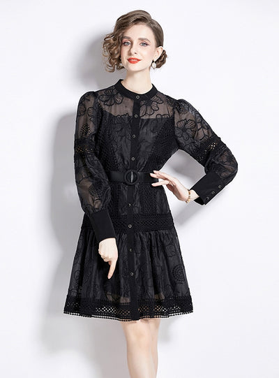 Lantern Sleeve Short Dress