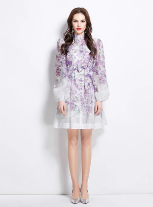 Double-breasted Lantern Sleeve Printed Dress