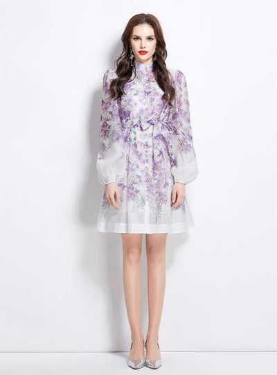 Double-breasted Lantern Sleeve Printed Dress