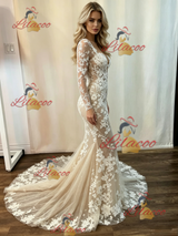 Light Champagne Long Sleeve Appliques Wedding Dress