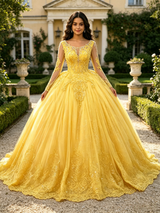 Yellow Tulle Appliques Long Sleeve Quinceanera Dress