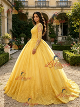 Yellow Tulle Appliques Long Sleeve Quinceanera Dress