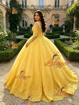 Yellow Tulle Appliques Long Sleeve Quinceanera Dress