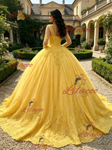 Yellow Tulle Appliques Long Sleeve Quinceanera Dress