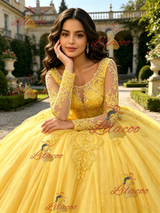 Yellow Tulle Appliques Long Sleeve Quinceanera Dress