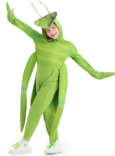 Child Animal Role-playing Mantis Cosplay