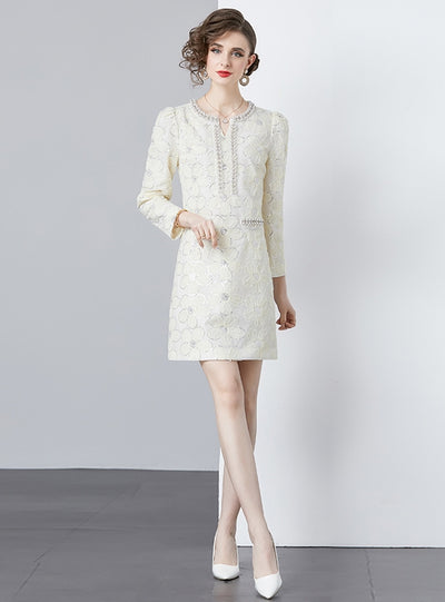 Beaded Round Neck Long Sleeve Dress