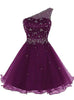 Purple Tulle One Shoulder Crystal Homecoming Dress