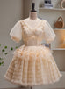 Champagne Tulle V-neck Beading Homecoming Dress