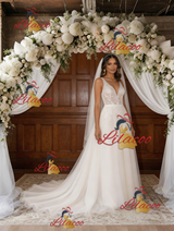 White Tulle Lace V-neck Backless Wedding Dress