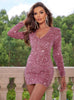 Long Sleeve V-neck Sequined Tight Dress
