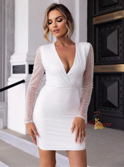 Sexy Sequined Mesh Tight Dress