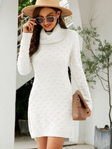 Solid Color Long Turtle Neck Sweater
