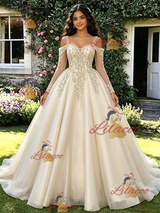 Champagne Tulle Long Sleeve Appliques Quinceanera Dress