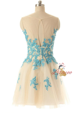 Champagne Tulle Appliques Homecoming Dress