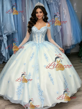 White Tulle Appliques Long Sleeve Quinceanera Dress