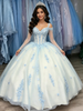 White Tulle Appliques Long Sleeve Quinceanera Dress