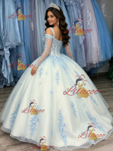 White Tulle Appliques Long Sleeve Quinceanera Dress